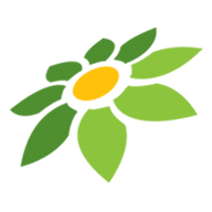 LINK LIGASLOT